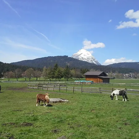 Апартаменты Haus Foehrenwald Mundeblick *