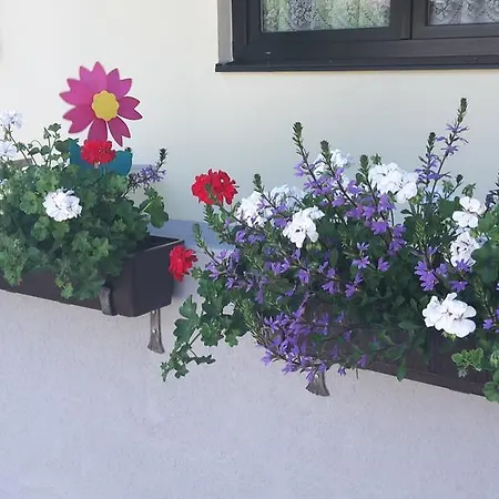 Апартаменты Haus Foehrenwald Mundeblick *