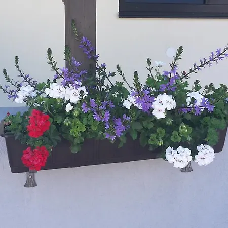 Haus Foehrenwald Mundeblick Зеефельд в Тироле