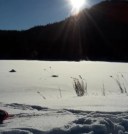 Haus Foehrenwald Mundeblick Зеефельд в Тироле