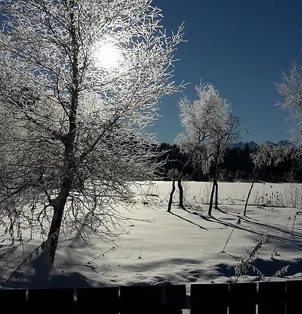 Haus Foehrenwald Mundeblick Апартаменты