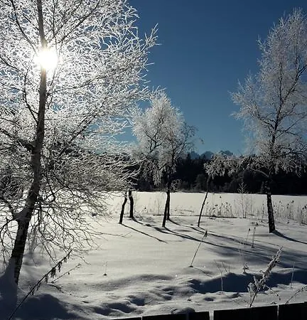 Апартаменты Haus Foehrenwald Mundeblick *